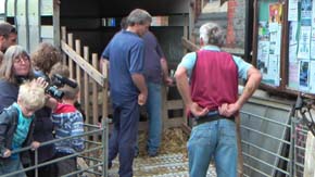Karen waiting for a sheep to be sheared Karen waiting for a sheep to be sheared